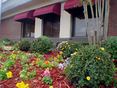 Holiday Inn Jonesboro Wyposażenia zdjęcie